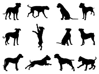 Set of Boxer Dog Silhouette in various poses isolated on white background
