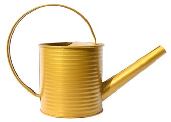 Garden golden watering can decorative isolated on a transparent background. Full depth of field. PNG.