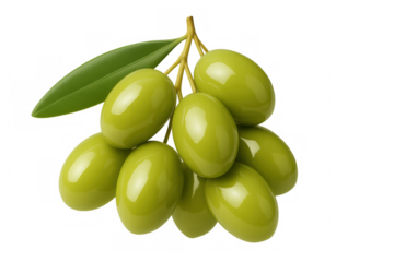 Cluster of fresh green olives hanging on a branch with leaves, isolated on a transparent background