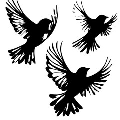 Obraz premium Flying birds are illustrated as an isolated flock in a gray watercolor silhouette