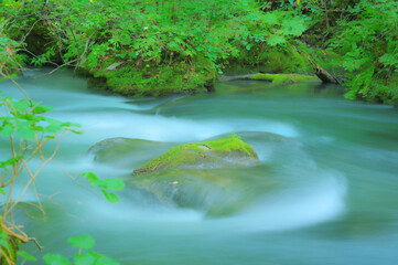 奥入瀬渓谷の豊かな自然と神秘的な水の流れ