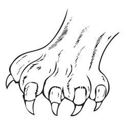 Cute cartoon hand drawn vector lion claw outline.