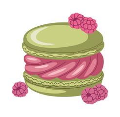 Flat vector illustration of a macaron ice cream sandwich with pistachio-green shells and raspberry-pink swirl filling, surrounded by mini raspberries. Isolated on transparent background