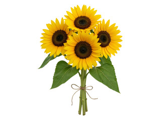 Obraz premium A bouquet of four bright yellow sunflowers with green leaves tied with twine isolated on transparent background