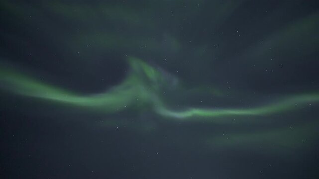 Auroral corona in the sky, real-time video