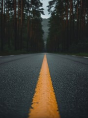 Illustration of a straight asphalt road with a yellow line disappearing into a dark misty forest