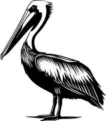 Black and White Pelican Silhouette Illustration