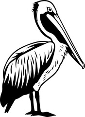Black and White Pelican Silhouette Illustration