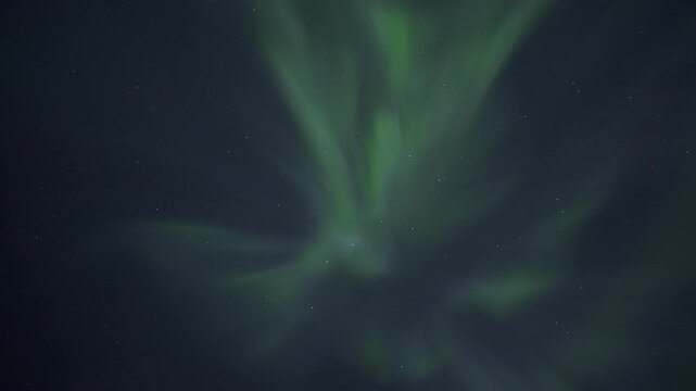 Auroral corona in the sky, real-time video