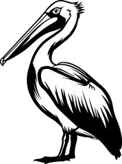 Black and White Pelican Silhouette Illustration