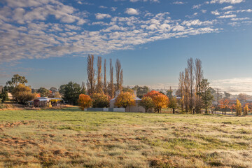 An autumn scene in the country under a blue sky