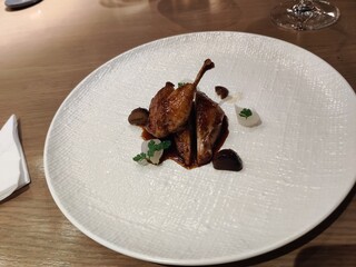 Duck dish
