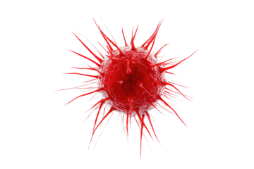Red, spiky cell against black background.  Detailed illustration of a virus or bacteria, highly magnified, with radiating, spiky protrusions
