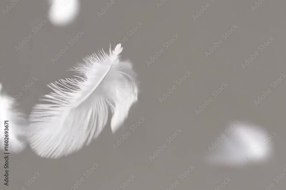 Poster close-up of a delicate white feather floating gently against a soft background. it captures the ligh