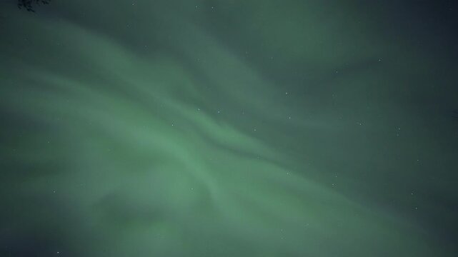 Auroral corona filling the sky, real-time video
