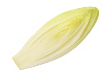 Close-up of a fresh belgian endive leaf, showcasing its pale yellow color and crisp texture, isolated on a transparent background