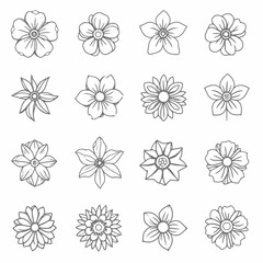 A diverse collection of hand-drawn flower illustrations. Botanical line art set featuring various floral outline sketches and doodles.