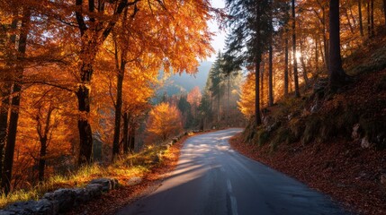 Fototapeta premium Winding country road cutting through dense autumn forest with vibrant orange and red foliage, sunlight filtering through trees