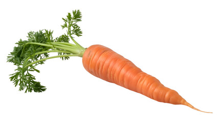 bunch of carrots on Transparent Background