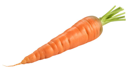 carrots isolated on Transparent Background