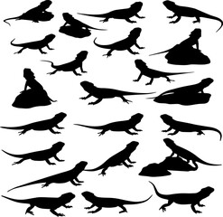 Collection of silhouette images showing bearded dragon lizards in various poses, including standing, lying down, and perched on rocks.