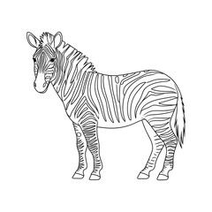 A black and white zebra illustration vector style coloring page