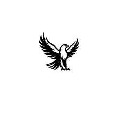 Obraz premium A striking black and white depiction of an eagle with outstretched wings aloft