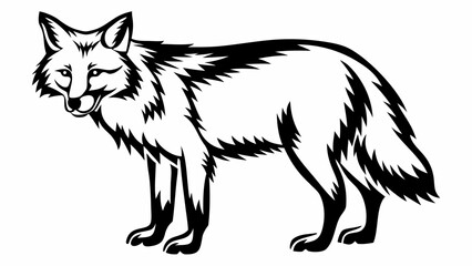 Fototapeta premium Stylized black and white illustration of a standing fox with detailed fur and a sly expression on its face