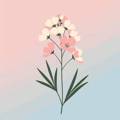 Elegant Pink and Cream Flower Illustration on Soft Pastel Gradient Background, Simple Botanical Art
