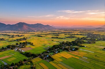 Obraz premium A wide-angle aerial view of the rice fields at sunset