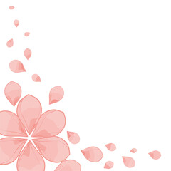 Soft Pink Flower and Petals Border on White Background