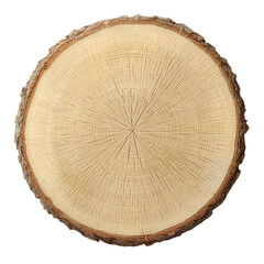 Fototapeta premium Natural wood slice with rough bark edges and circular grain pattern isolated on transparent background
