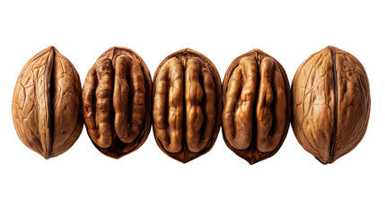 Five Walnuts in a Row on Transparent Background