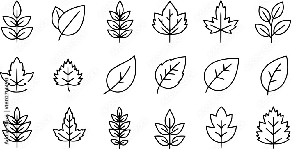 Wall mural simple line set of leaf icons. leaves thin line icon set. symbol collection in transparent backgroun