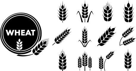 Wheat spike, grain icon set. Vector Illustration. EPS 10
