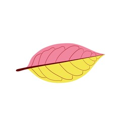 Colorful Abstract Illustration of a Pink and Yellow Leaf on White Background