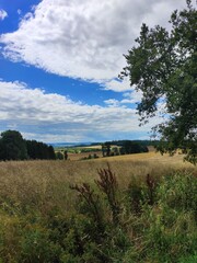 Obraz premium Naturlandschaft im Erzgebirge mit Wolkenhimmel