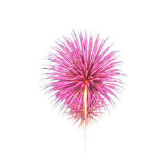 Fototapeta premium A singular, vibrant fireworks burst with swirling pink, electric blue, and fiery orange light streaks, clear contours, against a transparent background. Dynamic energy art concept