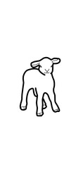 little sheep illustration
