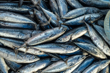 Background of tuna fish sell in traditional fishery market