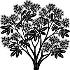 Daphne Flowering Shrub Silhouette – Elegant Black and White Line Art