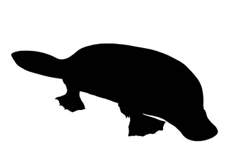 Silhouette of a platypus isolated on white background 