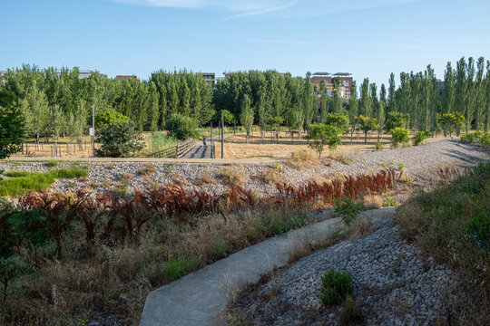 Ecological channel with dry vegetation, urban landscaping and forest edge creating a blend between nature restoration and city infrastructure