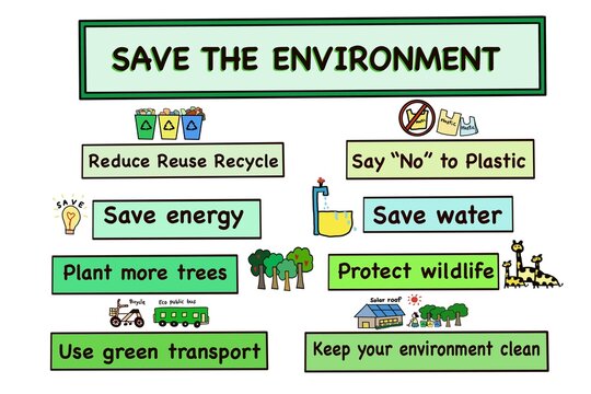 Educational poster illustrates simple ways to save the environment. Ideal for classroom use, it teaches kids to recycle, save energy and water, protect wildlife, and go green every day. Teaching aid.