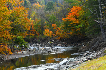 Curve of Stream and Autumn Colors