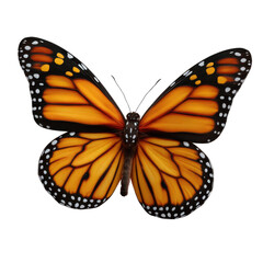 Obraz premium Vibrant Monarch Butterfly with Striking Orange and Black Wings