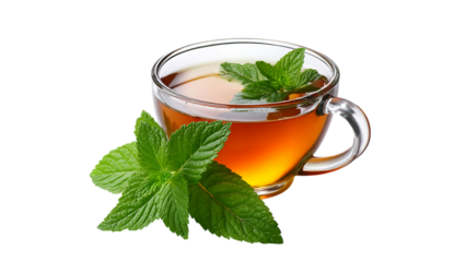 Clear cup of tea with fresh mint leaves on a black background in a close up studio shot view

