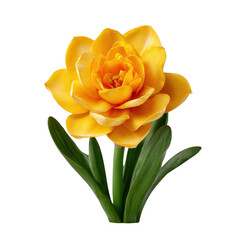 Vibrant Yellow Flower with Lush Green Leaves in Bright Lighting