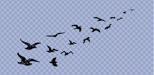 Silhouette of birds flying away. Shadow of flock of birds flying high in the sky drawn with wax pencil or pastel. Graphic element written with black charcoal pen. Vector illustration of simple dove