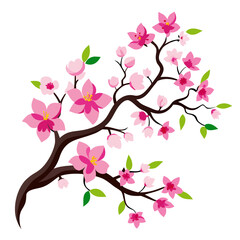 pink cherry blossom